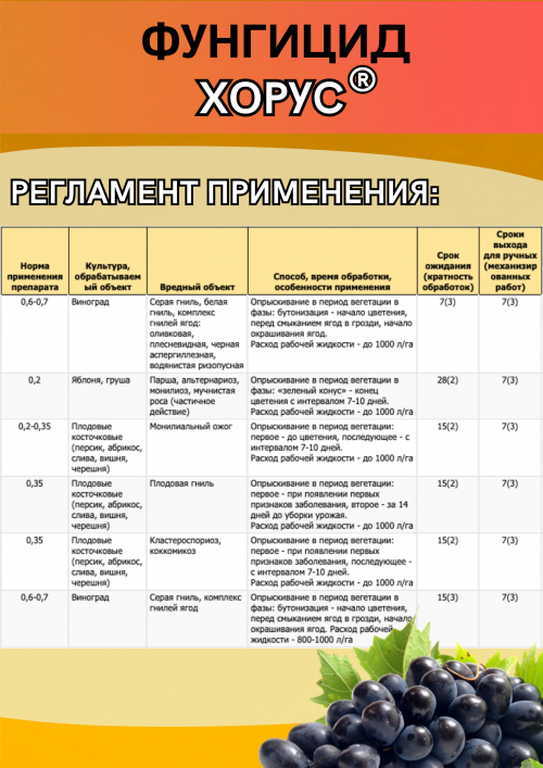 Хорус, ВДГ 1 кг фунгицид для плодовых и винограда