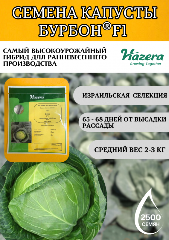 Бурбон F1 2500 штук семена капусты белокочанной