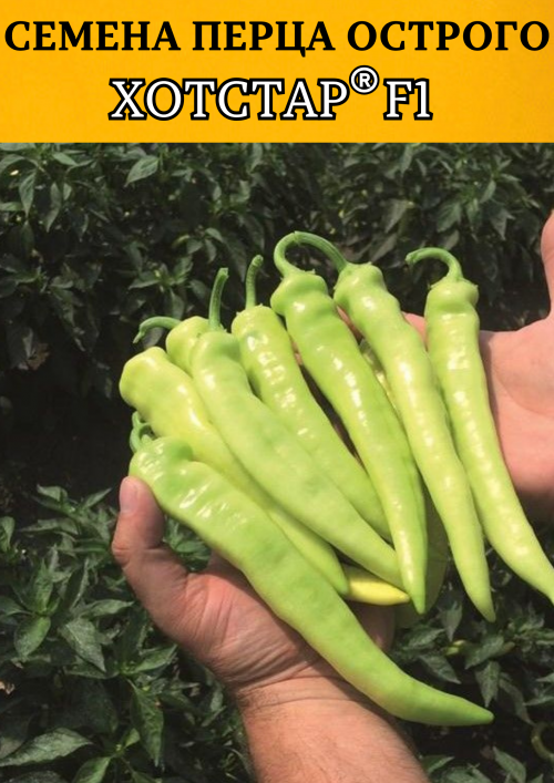 Хотстар F1 250 штук семена острого перца
