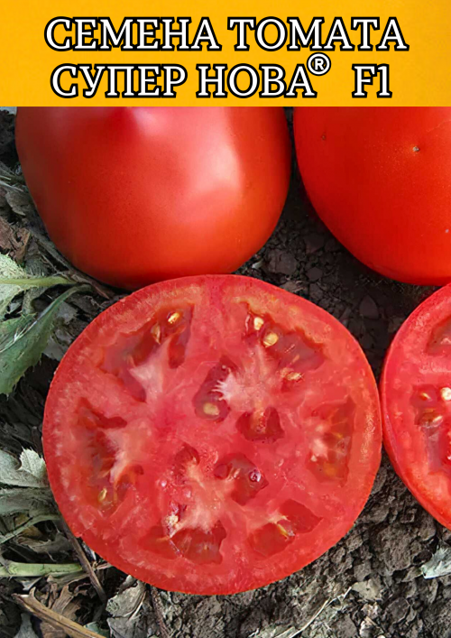 Супер Нова F1 (Примо Ред F1) 1000 штук семена томата
