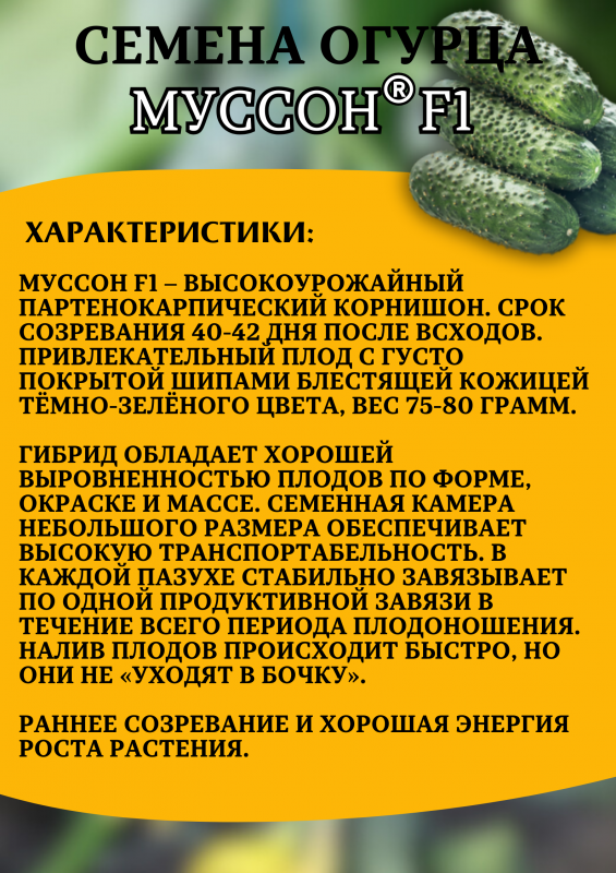 Муссон F1 100 штук семена огурца