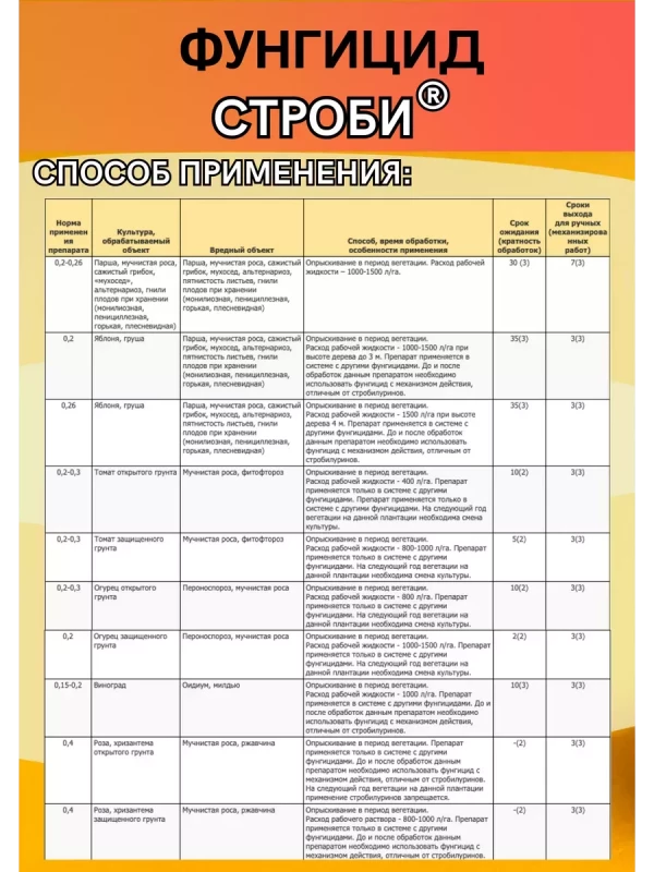Строби фунгицид