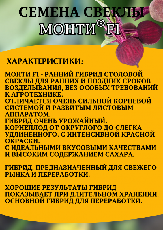 Монти F1 семена свеклы