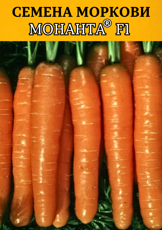 Монанта F1 семена моркови
