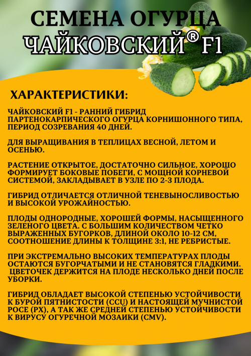 Чайковский F1 семена огурца