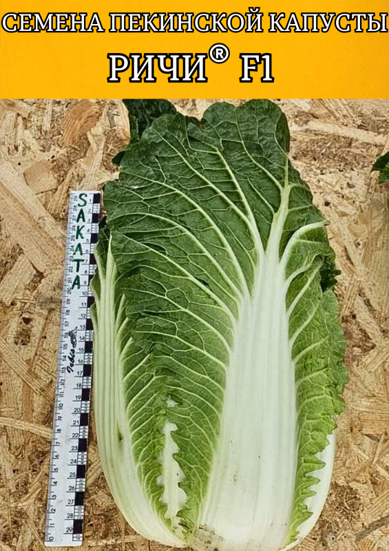 Ричи F1 1000 штук семена пекинской капусты