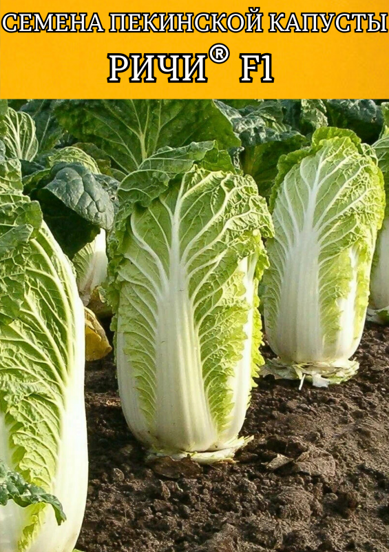 Ричи F1 1000 штук семена пекинской капусты