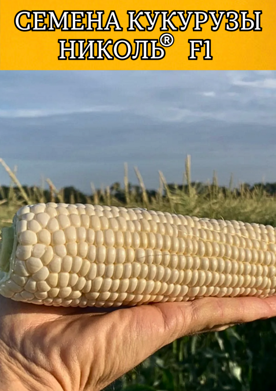 Николь F1 семена белой сахарной кукурузы