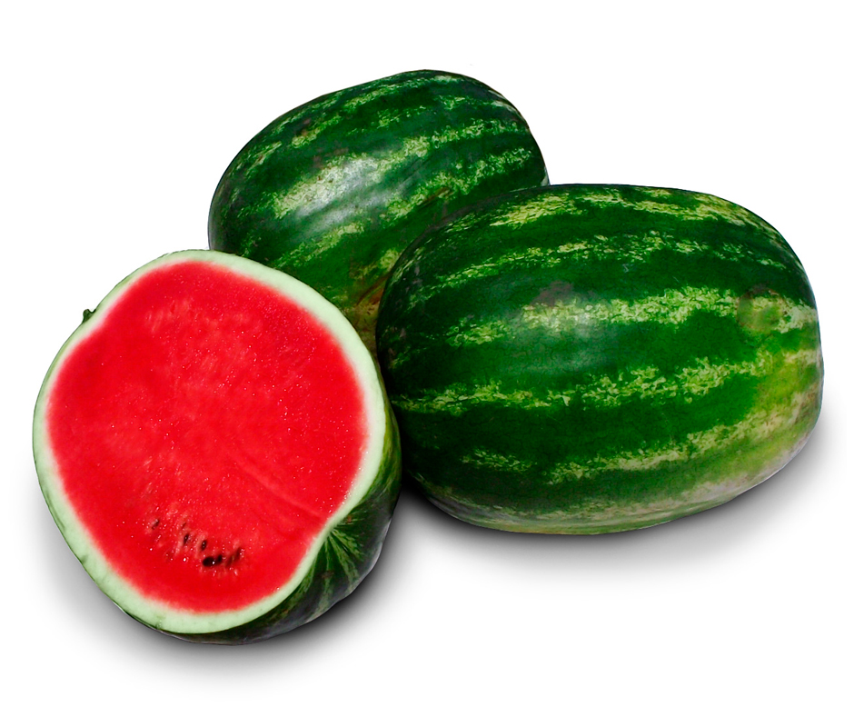 Гризли F1 семена арбуза 1000 штук