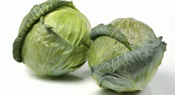 СВ 3336 ЖБ F1 семена белокочанной капусты 2500 штук