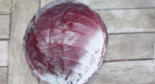 Рокси F1 семена краснокочанной капусты 2500 штук