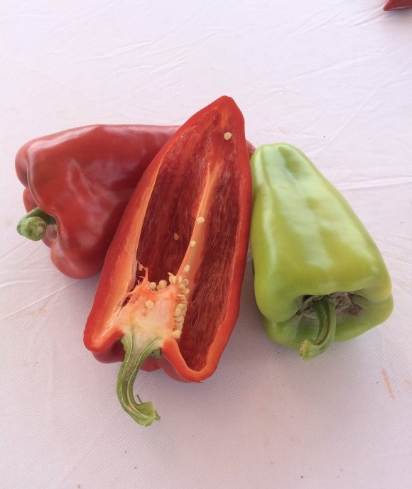 Ариадни F1 семена сладкого перца 500 штук