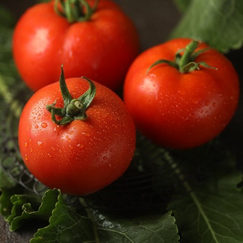 Бесуто F1 семена томата