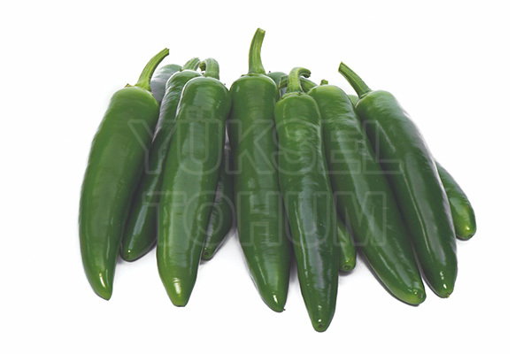 Горива F1 семена острого перца халапеньо 500 штук