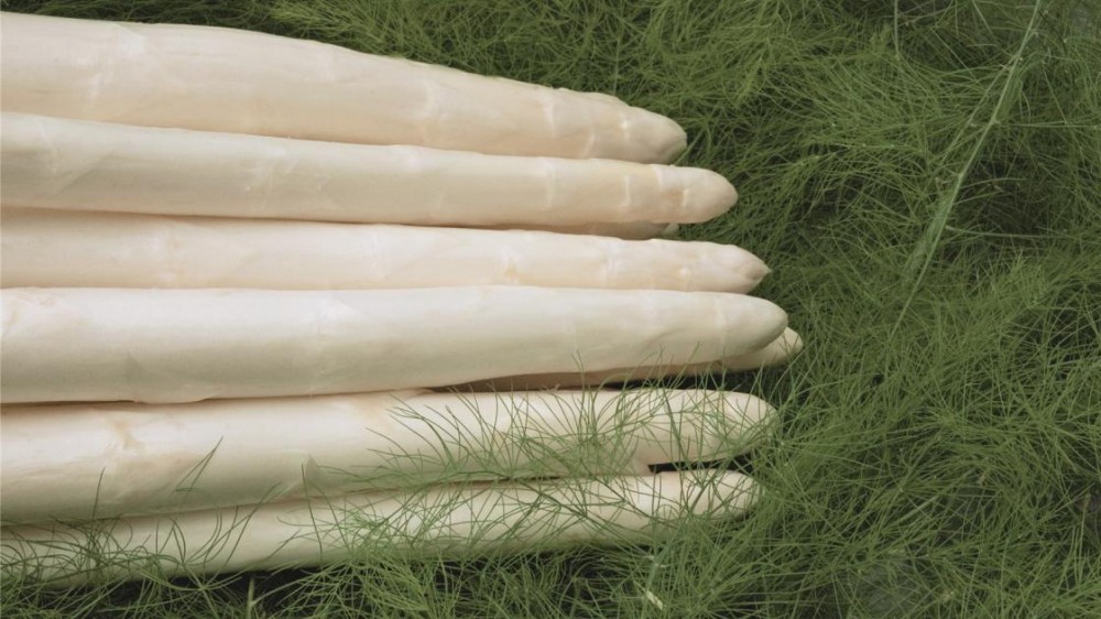 Кумулус F1 спаржа 500 семян