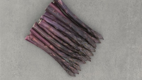 Эразмус F1 спаржа 500 семян