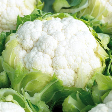 Концепт F1 капуста цветная 2500 семян