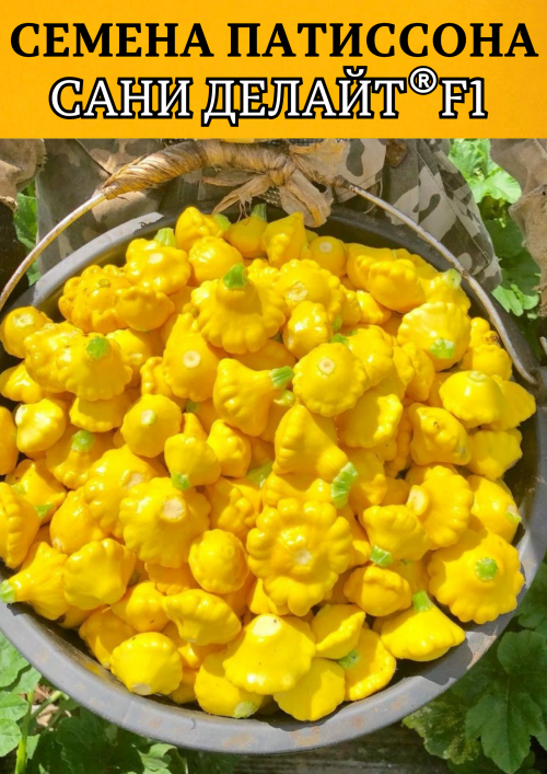 Сани Делайт F1 семена патиссона