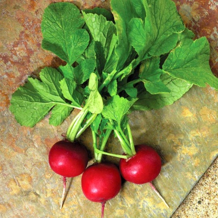 Мидуэй F1 редис 10 000 семян