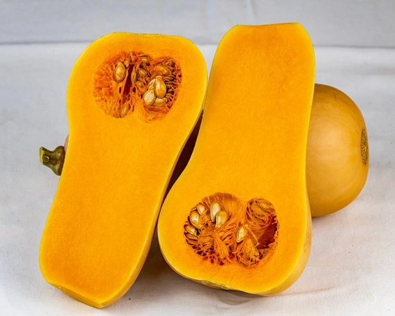 Миелуна F1 тыква 1000 семян