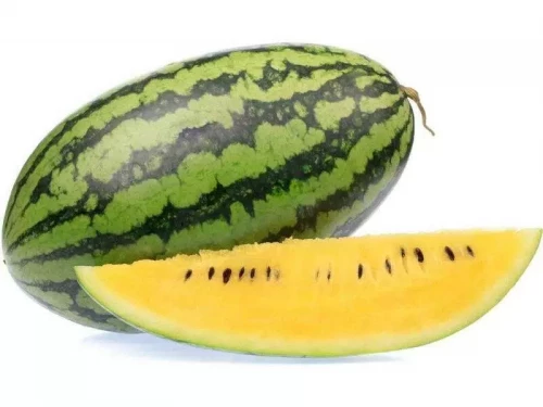 AS 3023 F1 арбуз 1000 семян