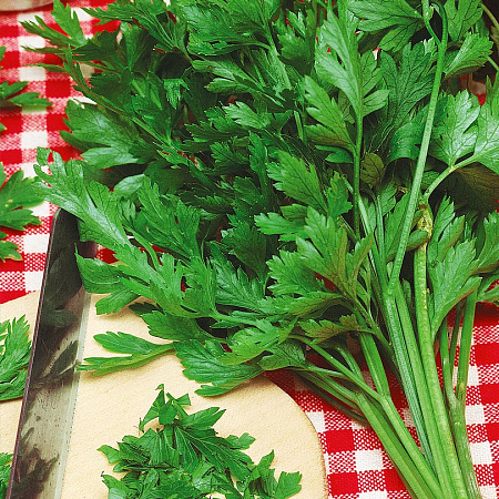 Итальянский гигант петрушка 50 грамм