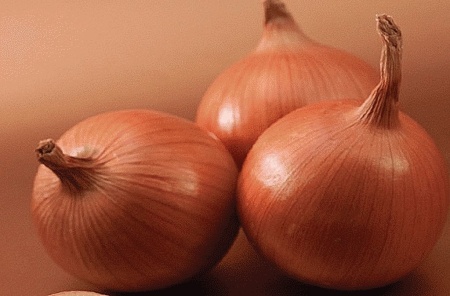 Боско F1 лук 250 000 семян