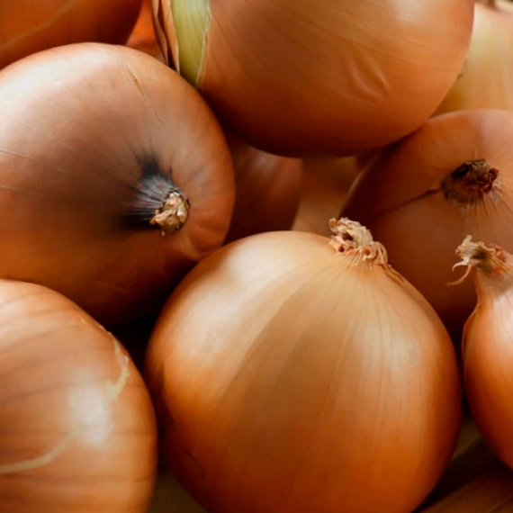 Банко лук 250 000 семян